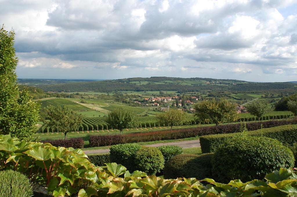 Hotel Restaurant La Montagne De Brancion Martailly-les-Brancion ภายนอก รูปภาพ